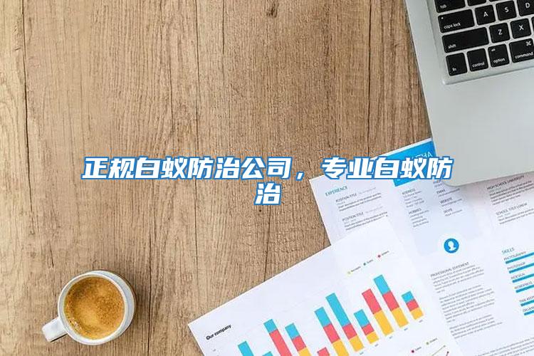 正規白蟻防治公司，專業白蟻防治