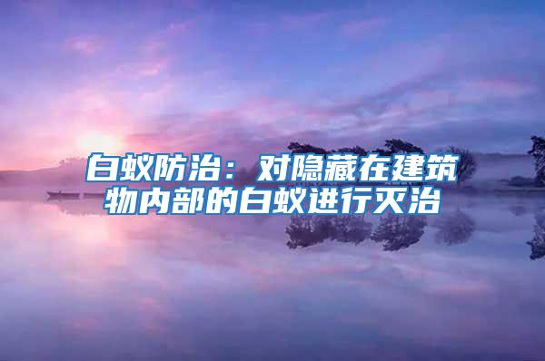 白蟻防治:對(duì)隱藏在建筑物內(nèi)部的白蟻進(jìn)行滅治