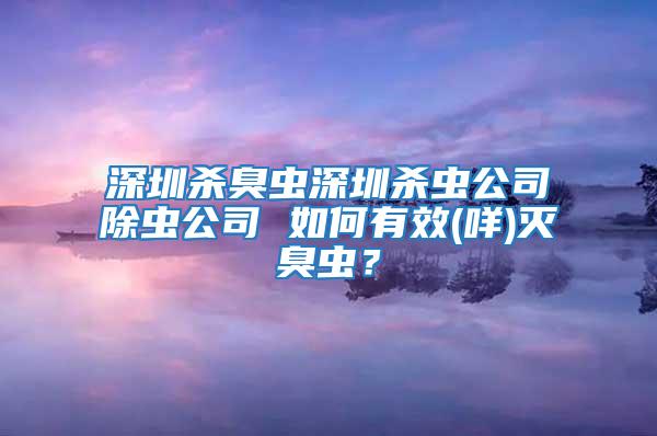 深圳殺臭蟲深圳殺蟲公司除蟲公司 如何有效(咩)滅臭蟲?