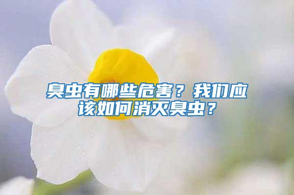 臭蟲有哪些危害?我們應該如何消滅臭蟲?