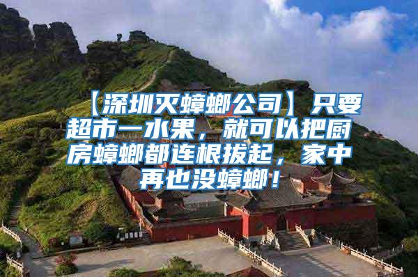 【深圳滅蟑螂公司】只要超市一水果,就可以把廚房蟑螂都連根拔起,家中再也沒蟑螂!
