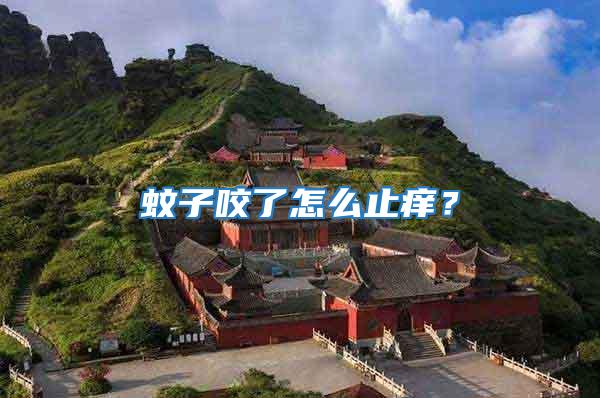 蚊子咬了怎么止癢?