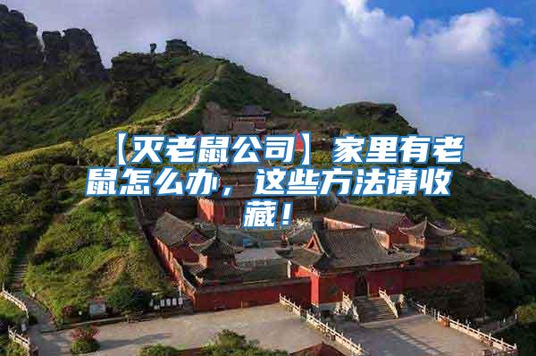 【滅老鼠公司】家里有老鼠怎么辦，這些方法請(qǐng)收藏！
