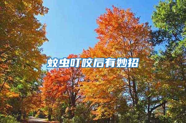 蚊蟲(chóng)叮咬后有妙招