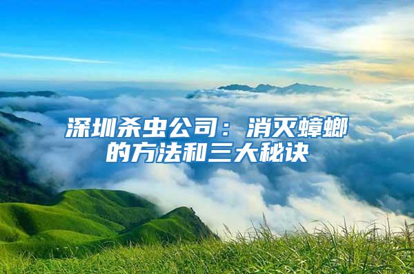 深圳殺蟲公司:消滅蟑螂的方法和三大秘訣
