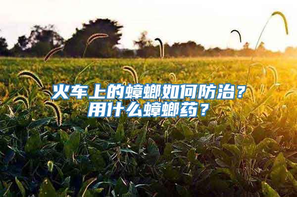 火車上的蟑螂如何防治?用什么蟑螂藥?