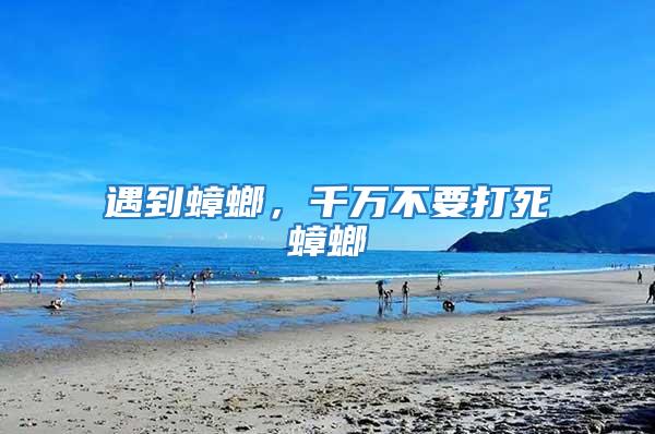 遇到蟑螂,千萬不要打死蟑螂