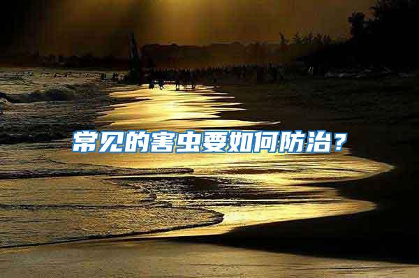 常見(jiàn)的害蟲(chóng)要如何防治？