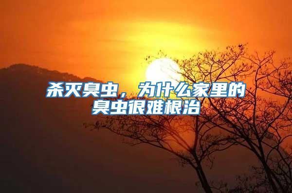 殺滅臭蟲,為什么家里的臭蟲很難根治
