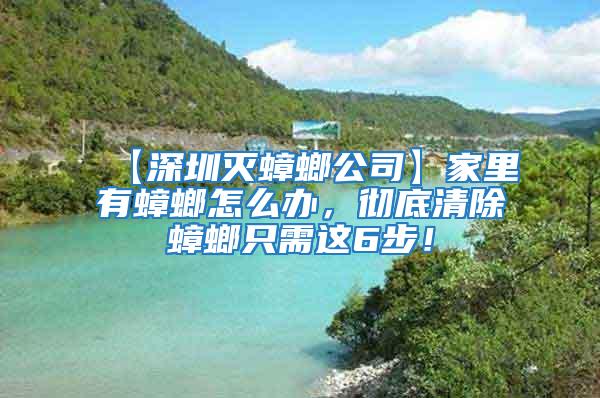 【深圳滅蟑螂公司】家里有蟑螂怎么辦,徹底清除蟑螂只需這6步!