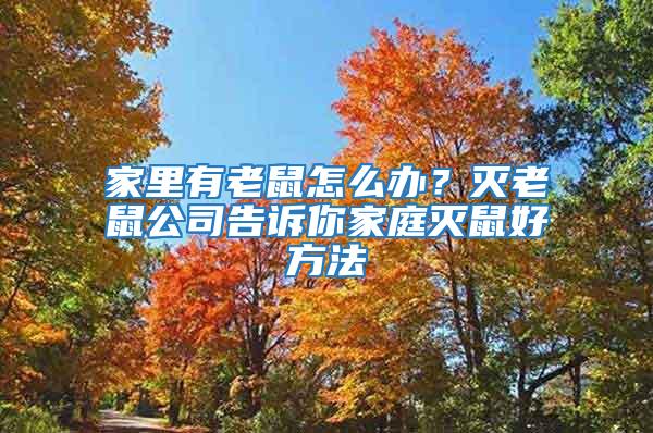 家里有老鼠怎么辦?滅老鼠公司告訴你家庭滅鼠好方法