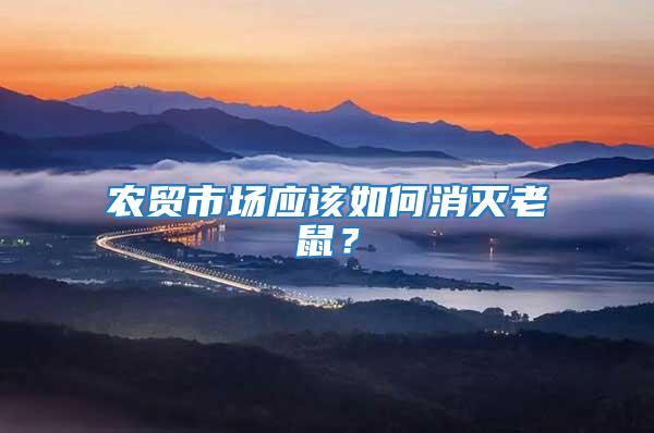 農貿市場應該如何消滅老鼠?