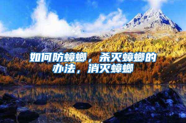 如何防蟑螂,殺滅蟑螂的辦法,消滅蟑螂