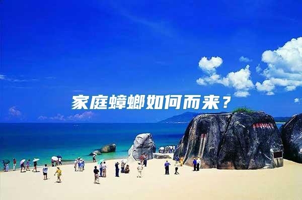 家庭蟑螂如何而來？