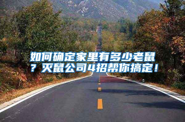 如何確定家里有多少老鼠？滅鼠公司4招幫你搞定！