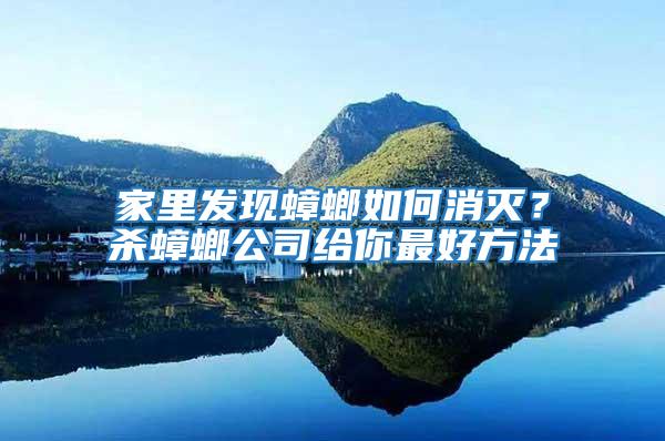 家里發現蟑螂如何消滅?殺蟑螂公司給你最好方法