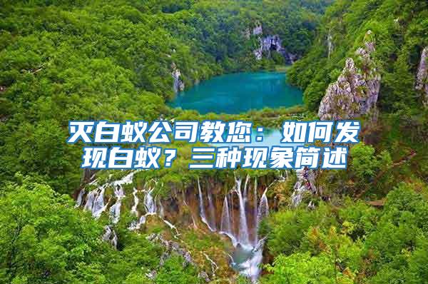 滅白蟻公司教您：如何發現白蟻？三種現象簡述
