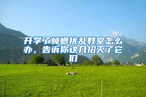開學(xué)了蟑螂擾亂教室怎么辦，告訴你這幾招滅了它們