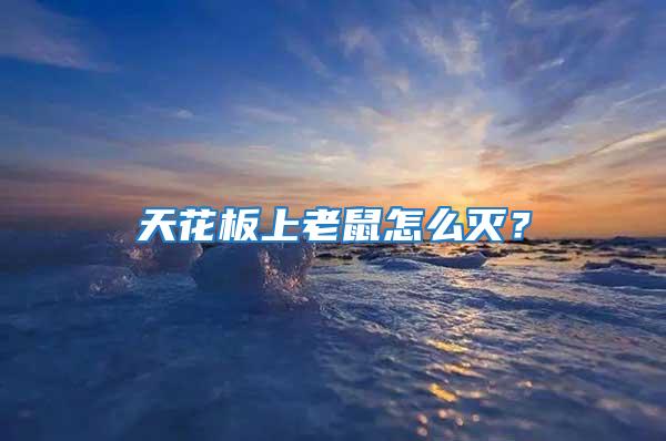 天花板上老鼠怎么滅?