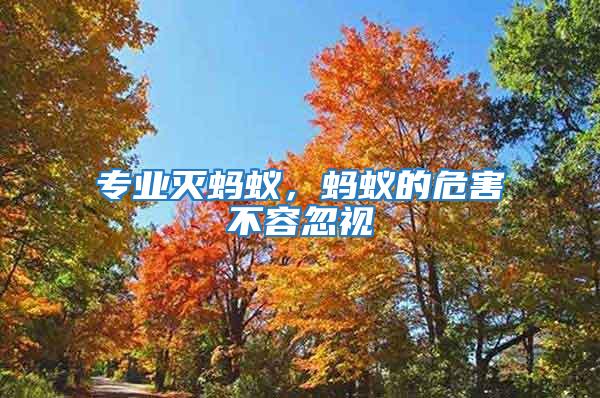 專業滅螞蟻,螞蟻的危害不容忽視
