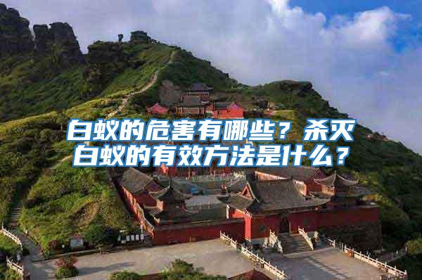 白蟻的危害有哪些?殺滅白蟻的有效方法是什么?