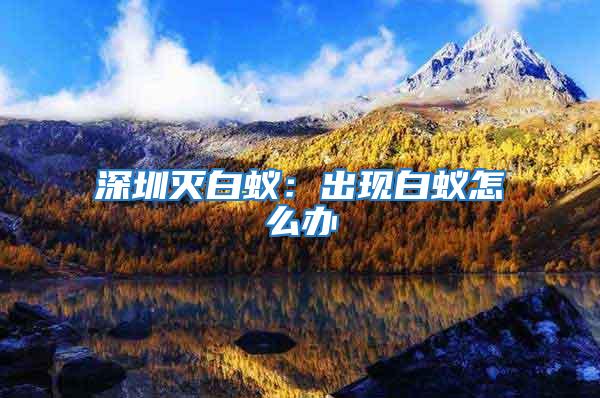 深圳滅白蟻:出現(xiàn)白蟻怎么辦