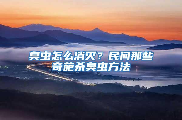 臭蟲怎么消滅？民間那些奇葩殺臭蟲方法