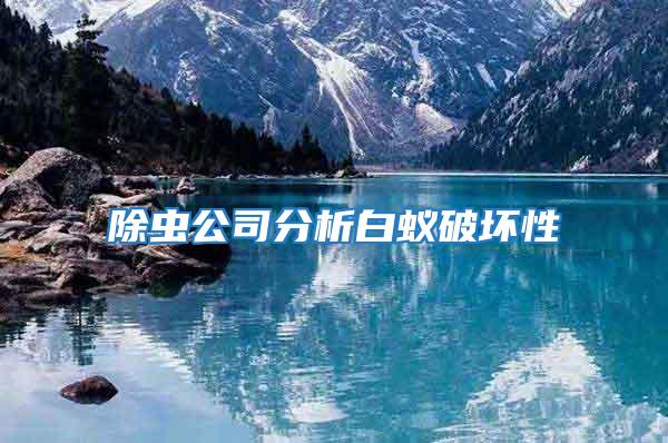 除蟲(chóng)公司分析白蟻破壞性