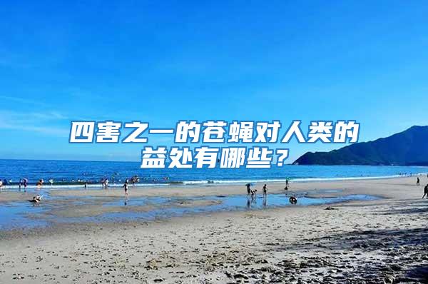 四害之一的蒼蠅對人類的益處有哪些?
