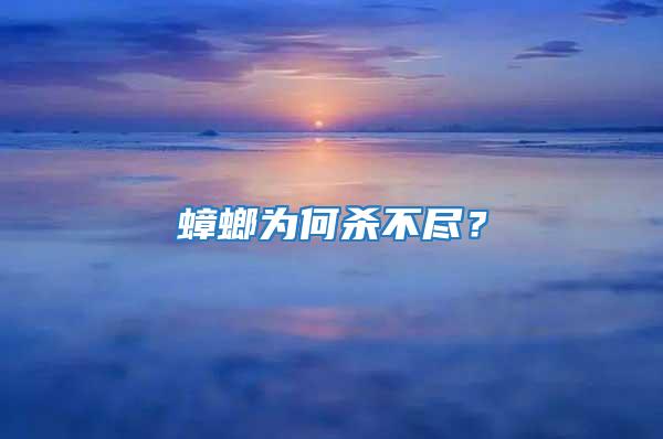 蟑螂為何殺不盡?