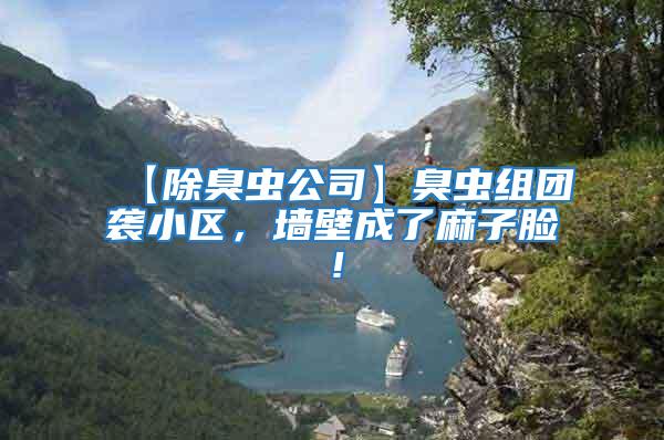 【除臭蟲公司】臭蟲組團襲小區,墻壁成了麻子臉!