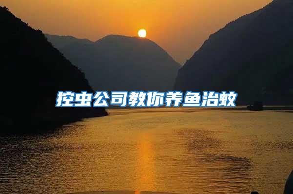 控蟲(chóng)公司教你養(yǎng)魚(yú)治蚊