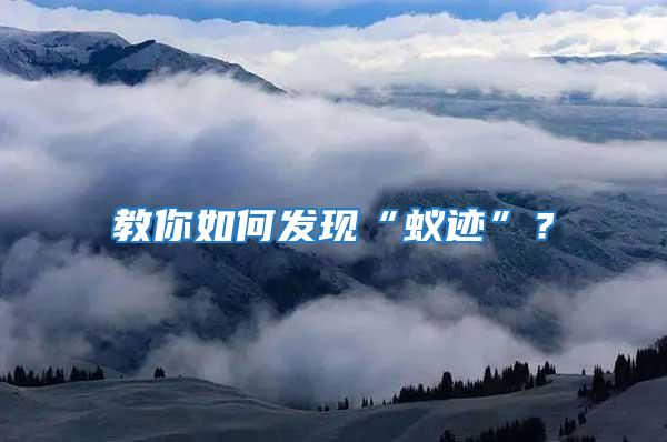 教你如何發現“蟻跡”?
