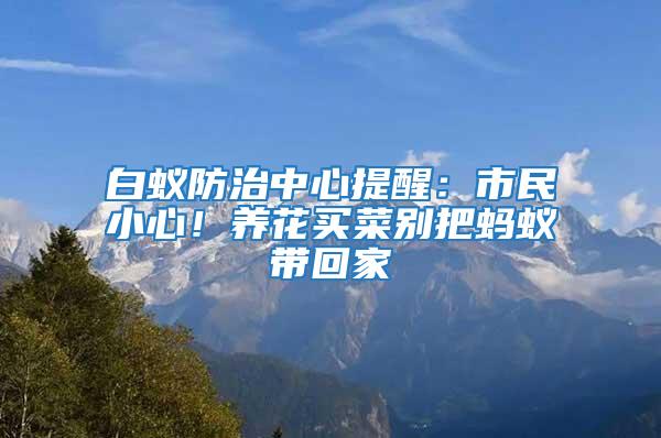 白蟻防治中心提醒:市民小心!養(yǎng)花買菜別把螞蟻帶回家