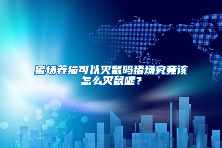 豬場養貓可以滅鼠嗎豬場究竟該怎么滅鼠呢?