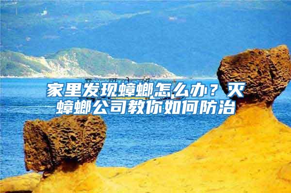 家里發現蟑螂怎么辦？滅蟑螂公司教你如何防治