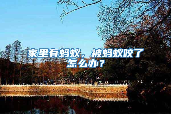 家里有螞蟻，被螞蟻咬了怎么辦？