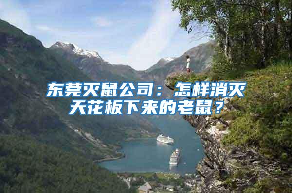 東莞滅鼠公司:怎樣消滅天花板下來的老鼠?