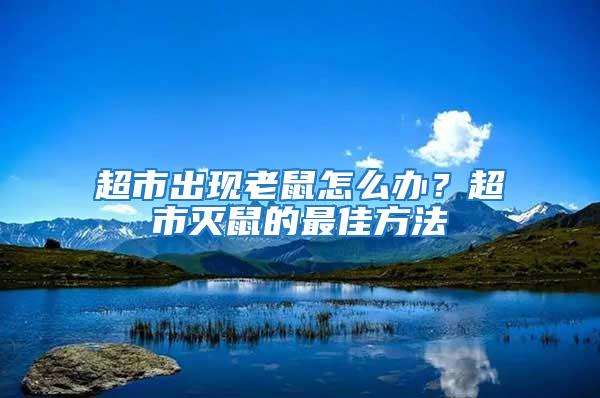 超市出現老鼠怎么辦?超市滅鼠的最佳方法