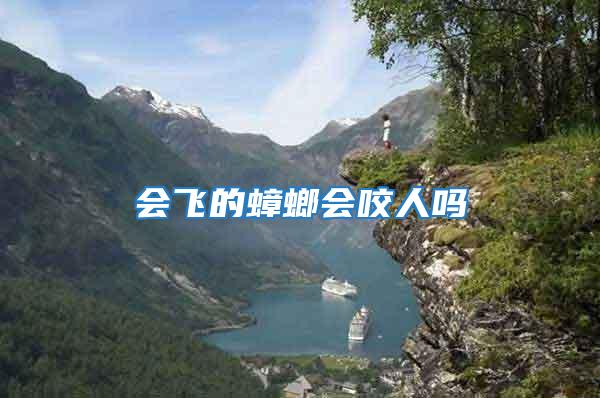 會(huì)飛的蟑螂會(huì)咬人嗎