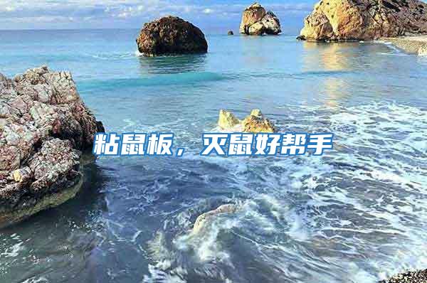 粘鼠板,滅鼠好幫手