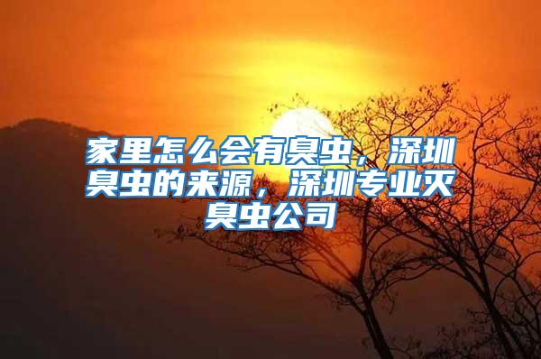 家里怎么會有臭蟲,深圳臭蟲的來源,深圳專業滅臭蟲公司
