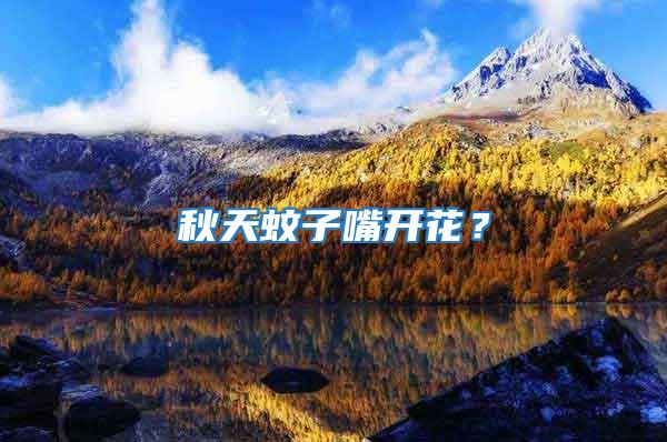 秋天蚊子嘴開花？