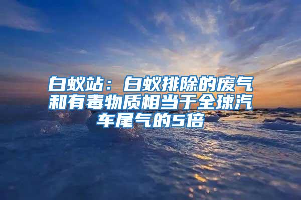 白蟻站:白蟻排除的廢氣和有毒物質相當于全球汽車尾氣的5倍