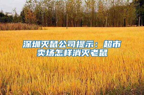 深圳滅鼠公司提示:超市賣場怎樣消滅老鼠