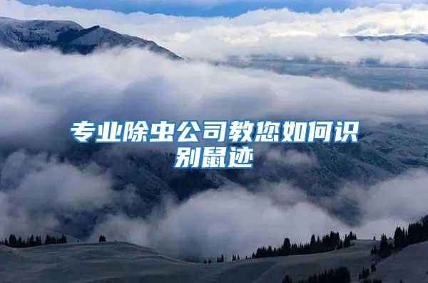 專業(yè)除蟲公司教您如何識(shí)別鼠跡