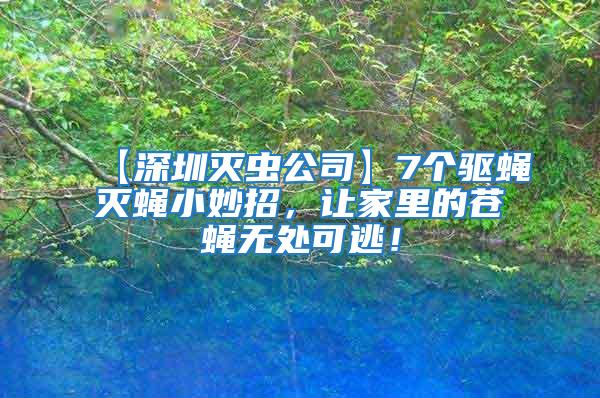 【深圳滅蟲公司】7個驅蠅滅蠅小妙招,讓家里的蒼蠅無處可逃!