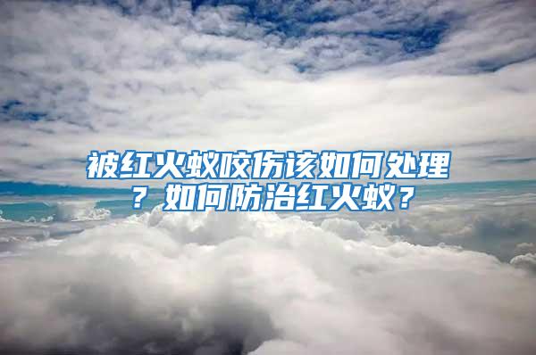 被紅火蟻咬傷該如何處理？如何防治紅火蟻？