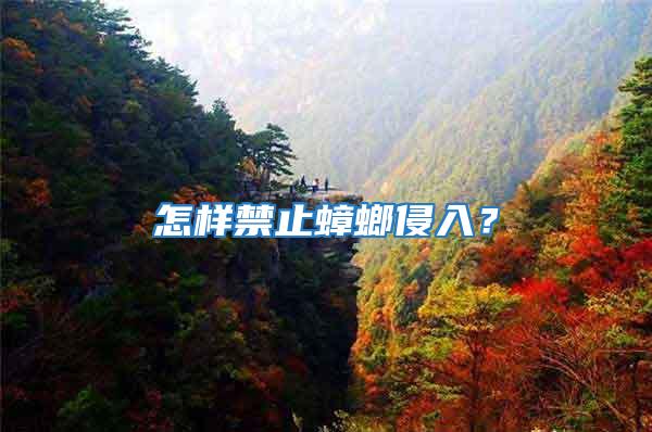 怎樣禁止蟑螂侵入?