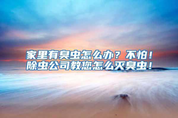 家里有臭蟲怎么辦?不怕!除蟲公司教您怎么滅臭蟲!